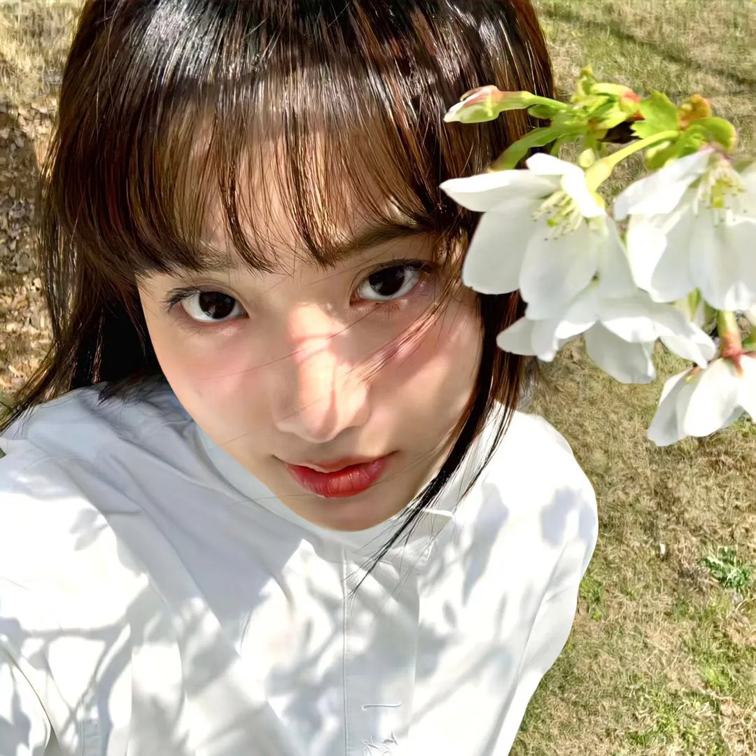 灰姑娘游戏2024
