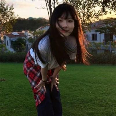 凝视动物的100种方式